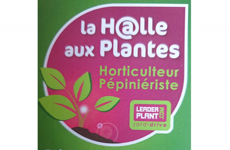 La Halle aux Plantes 1 768x503